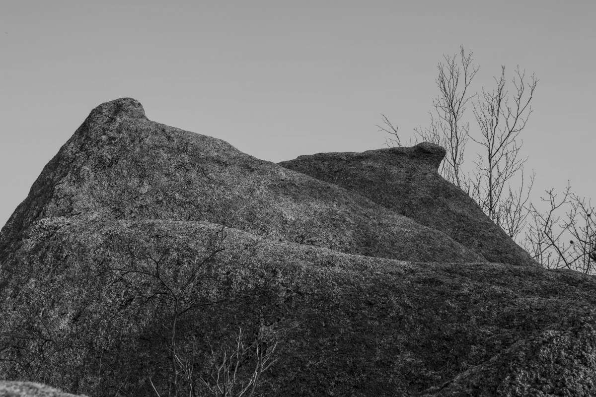 ����������� ����� ���� �������� �� PhotoGeek.ru #������ ��� ������� #��������� #�����-�����