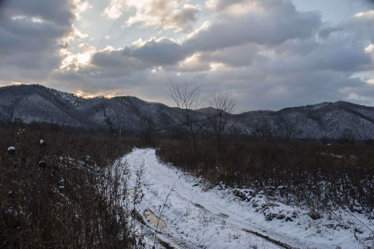 �������� ������ ����� ���� �������� �� PhotoGeek.ru #������ ��� ������� #���������