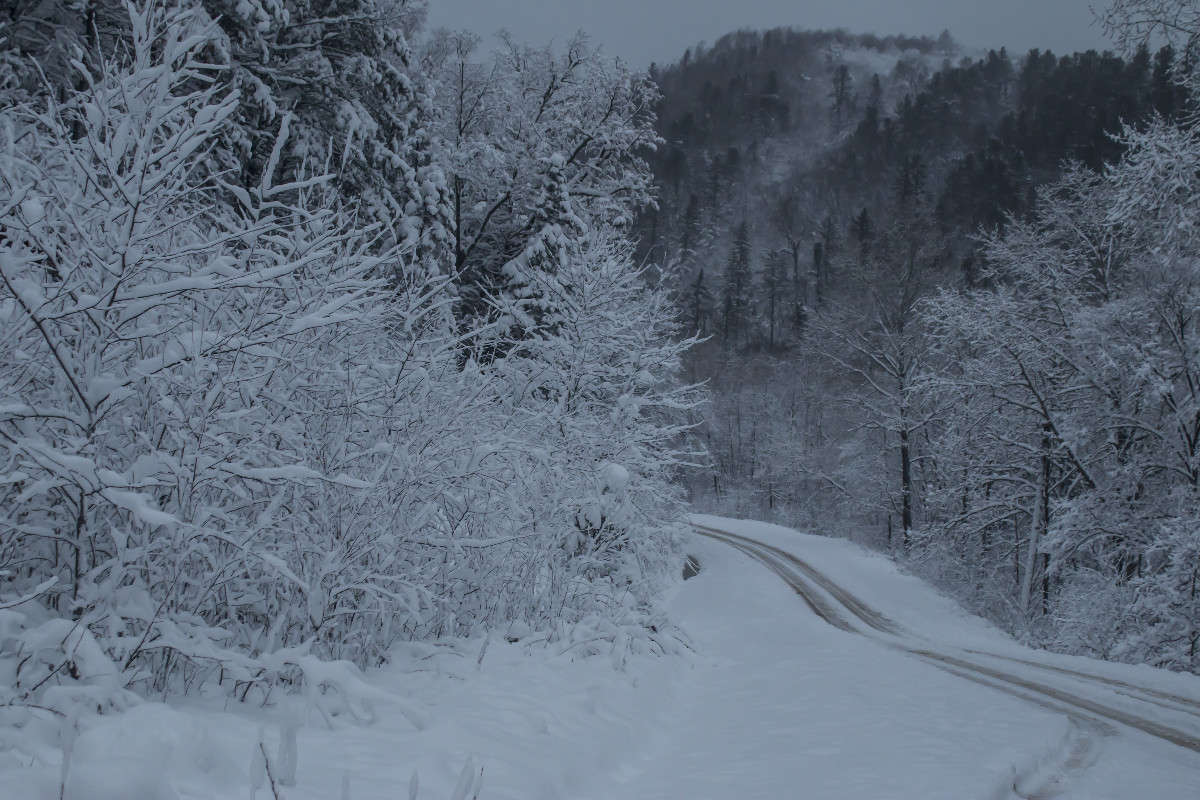 ������ ����. ����� ���� �������� �� PhotoGeek.ru #������ ��� ������� #���������