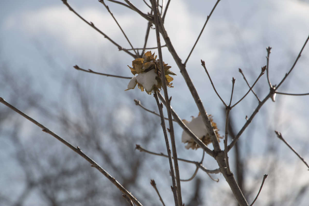 ... ����� ���� �������� �� PhotoGeek.ru #������ ��� ������� #���������