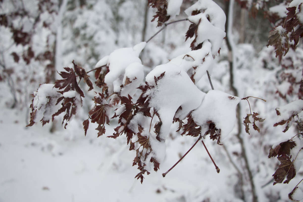 ... ����� ���� �������� �� PhotoGeek.ru #������ ��� ������� #���������