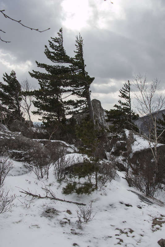 ����� ����� ���� �������� �� PhotoGeek.ru #������ ��� ������� #���������