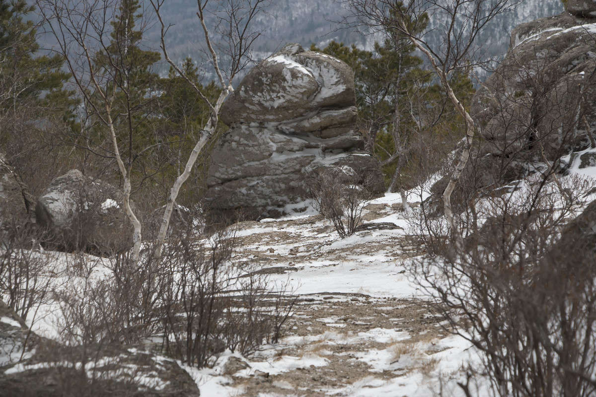 ���������... ����� ���� �������� �� PhotoGeek.ru #������ ��� ������� #���������