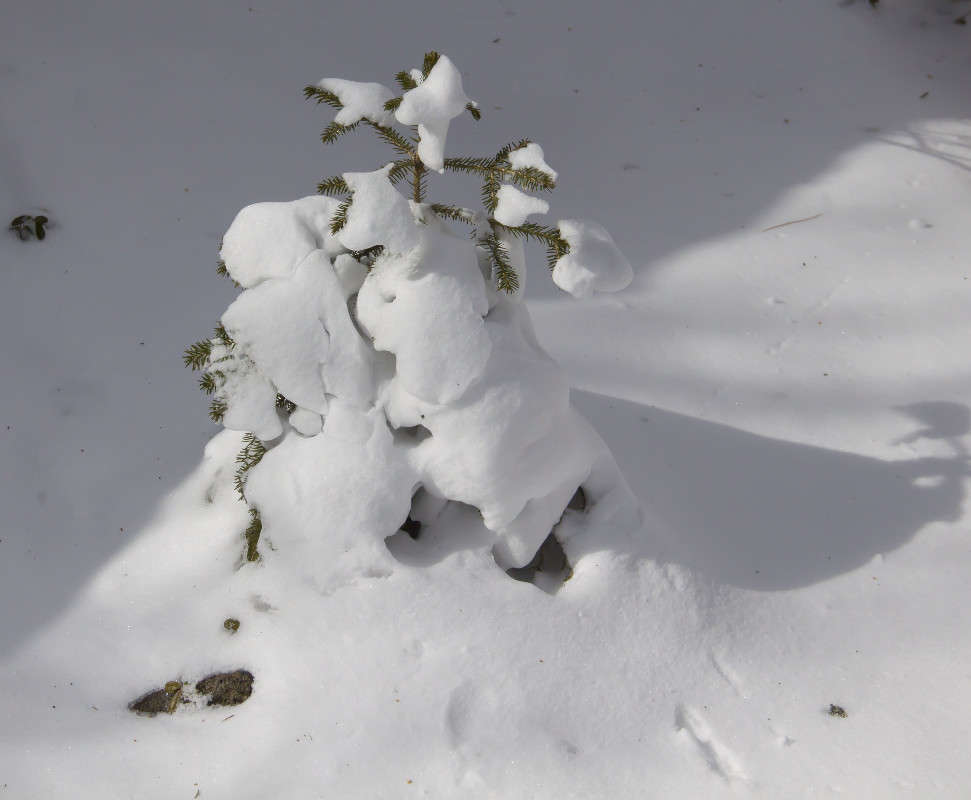 � ���� �������� ������... ����� ���� �������� �� PhotoGeek.ru #������ ��� ������� #����� �������������� #��������� #����� ��������