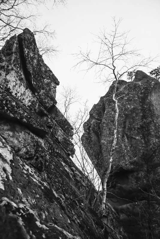 ����� � �����. ����� ���� �������� �� PhotoGeek.ru #������ ��� ������� #���������