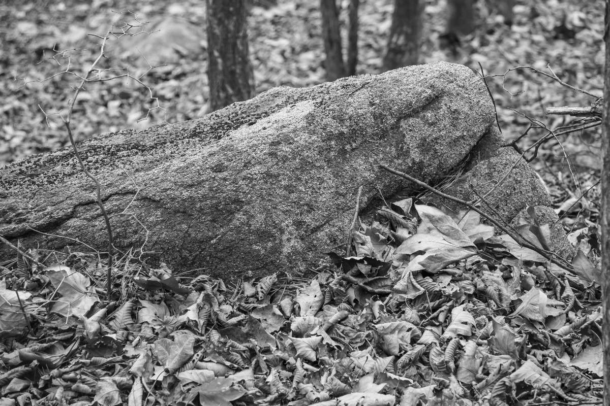 � ����� �������� ����� ���� �������� �� PhotoGeek.ru #������ ��� ������� #���������