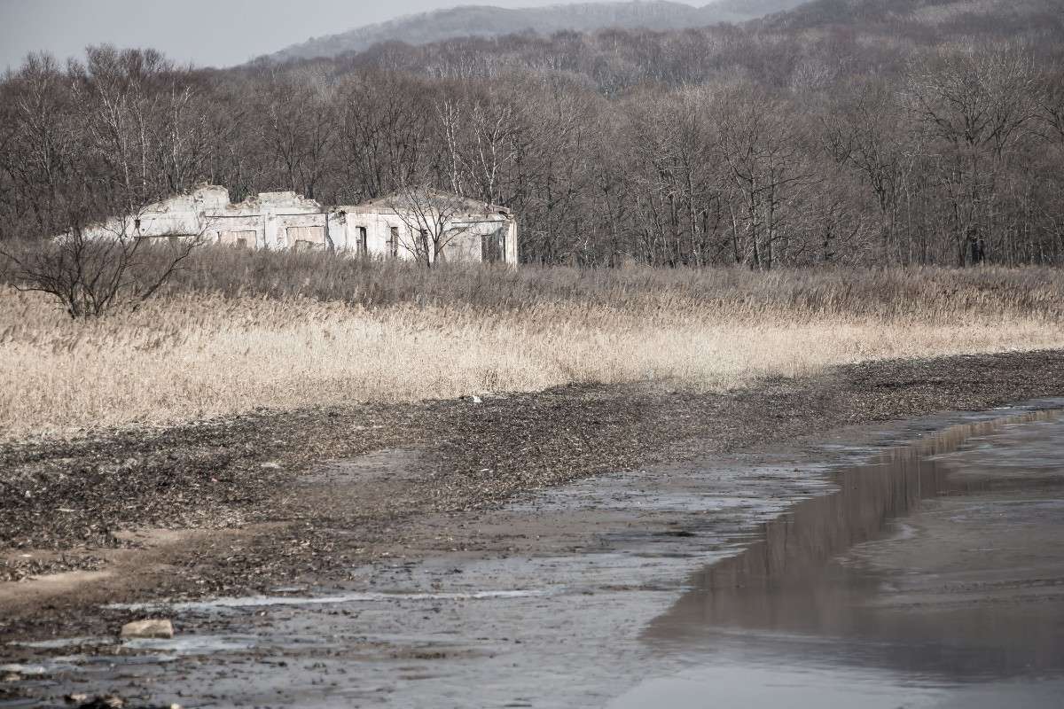 �� ��������� �. ������� ����� ���� �������� �� PhotoGeek.ru #������ ��� ������� #���������