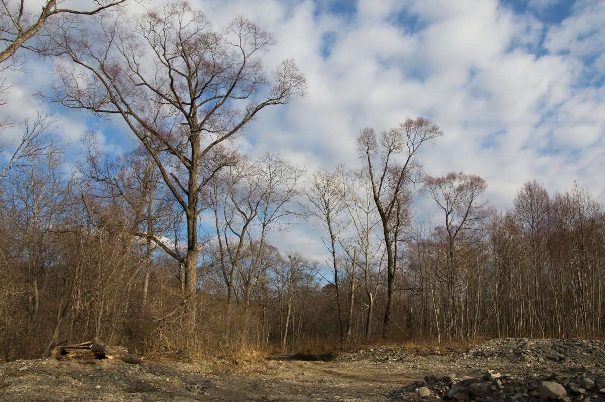 ���������� ���� ����� ���� �������� �� PhotoGeek.ru #������ ��� ������� #���������