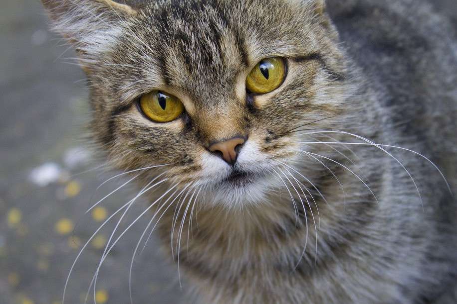 ������� ������ ����� �������  �� PhotoGeek.ru #�������� ���