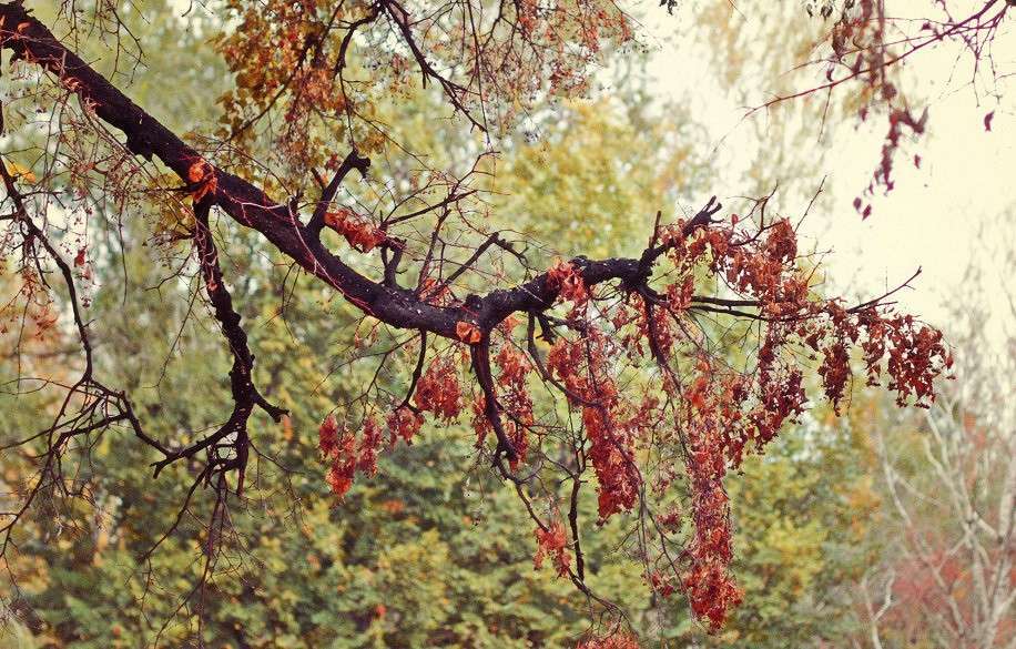 ����� ����� �������  �� PhotoGeek.ru #������ ��� �������