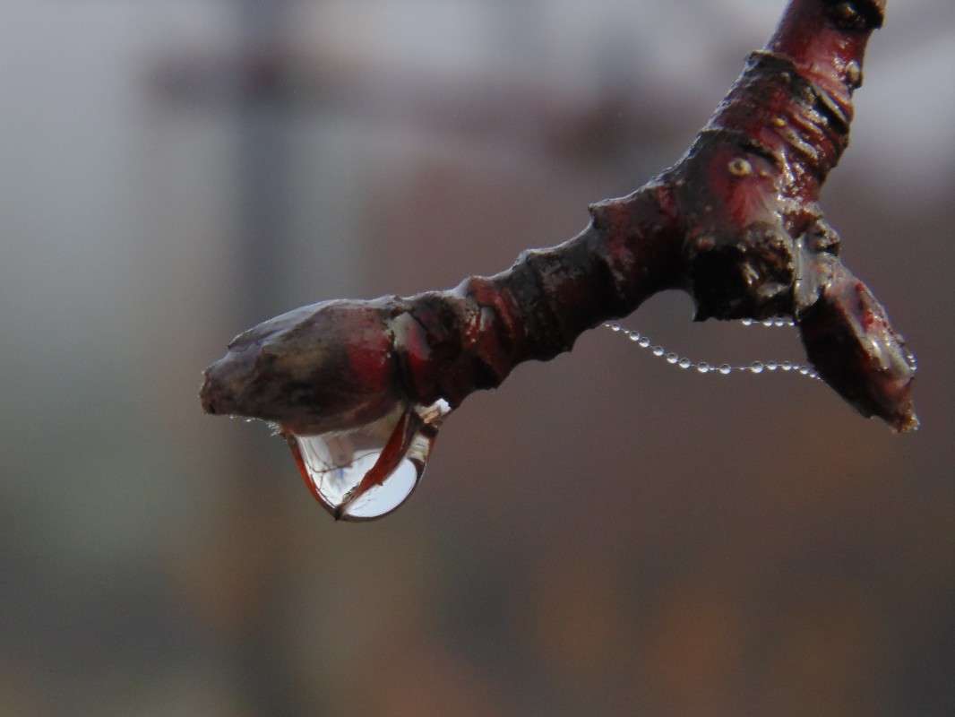 ����� ����� � ������� ����� �����  �� PhotoGeek.ru #����� #����� ��������������