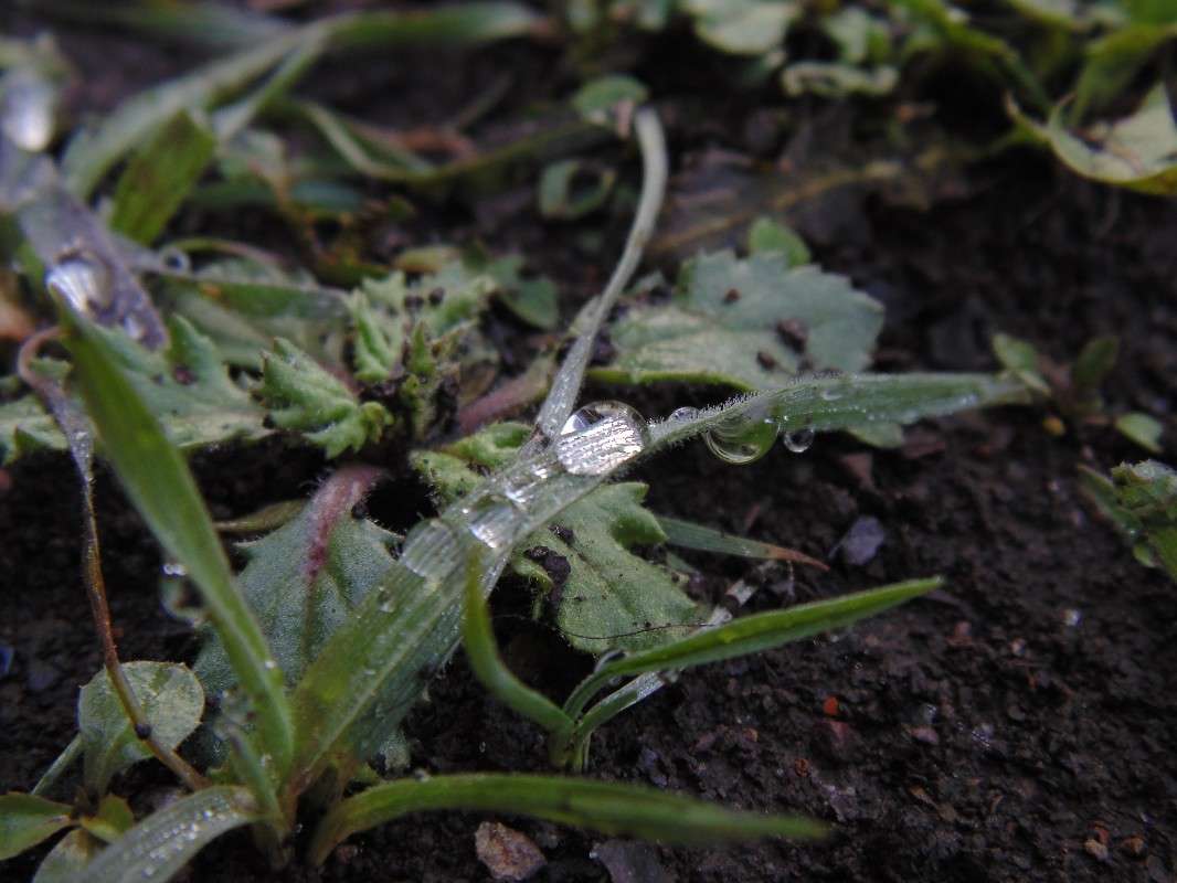 ����������� ���� ����� �����  �� PhotoGeek.ru #����� #����� ��������������