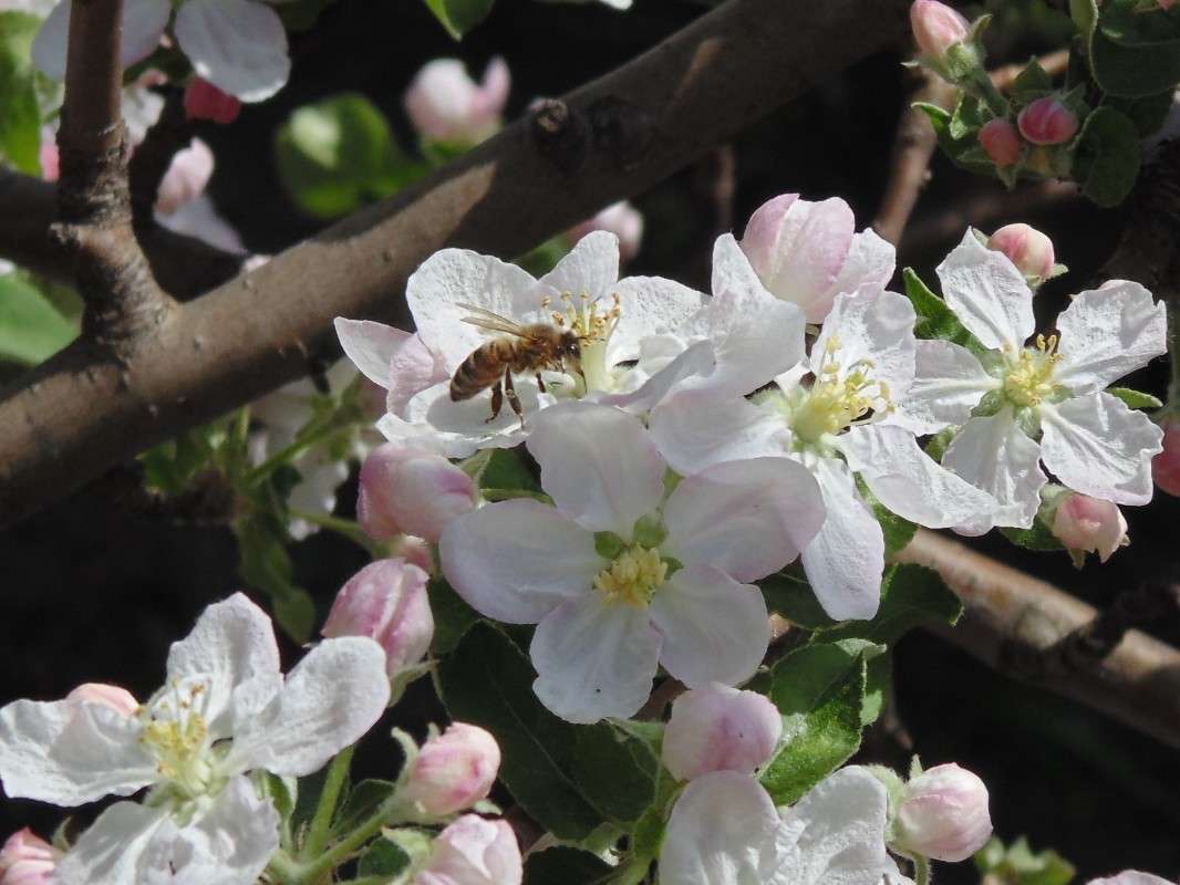 �������... ����� �����  �� PhotoGeek.ru #����� #���������