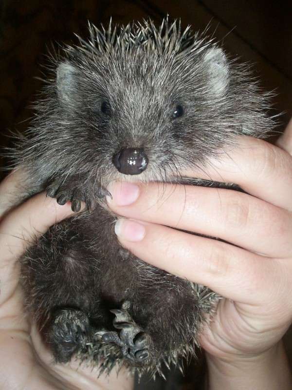 ... ����� �����  �� PhotoGeek.ru #�������� ��� #�������