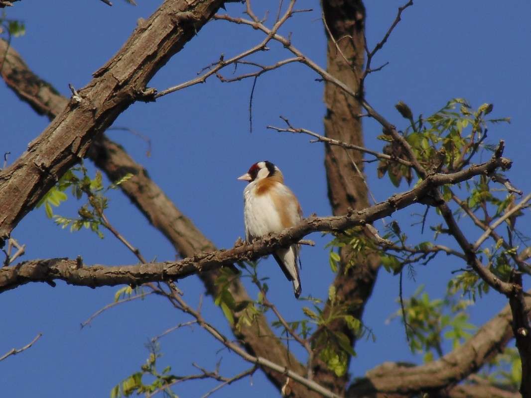 ... ����� �����  �� PhotoGeek.ru #�������� ��� #����� ��� ��� ���������