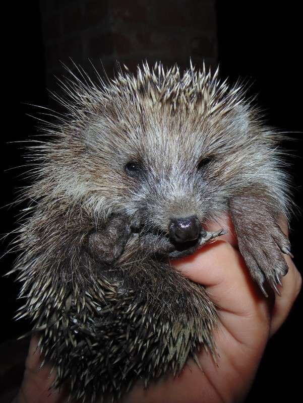 ... ����� �����  �� PhotoGeek.ru #�������� ��� #�������