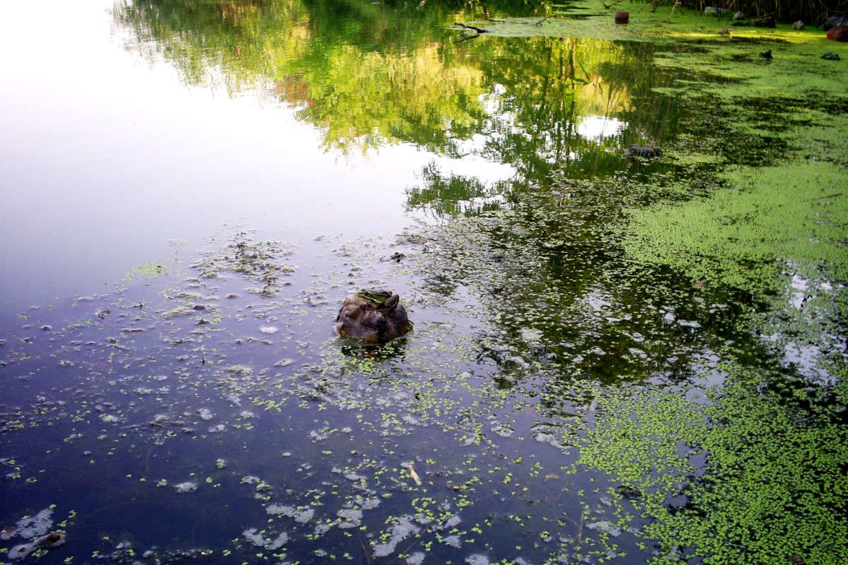 �������!))) ����� �����  �� PhotoGeek.ru #������ ��� ������� #����� ��������