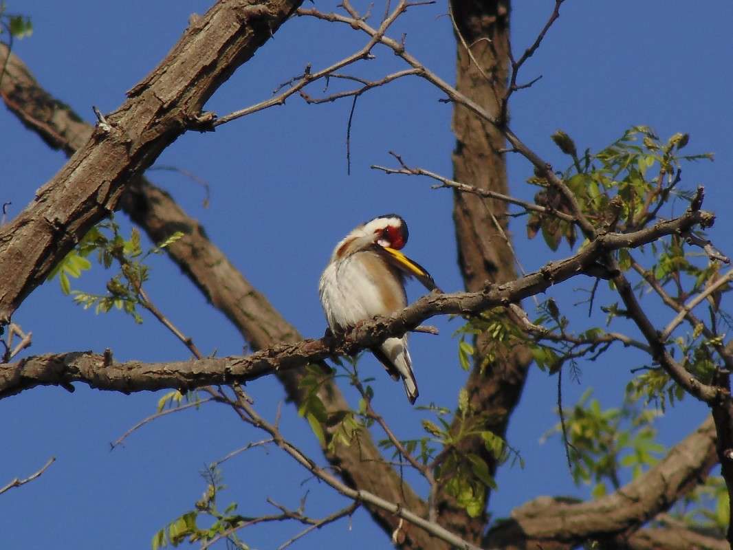 ������ ������... ����� �����  �� PhotoGeek.ru #�������� ��� #����� ��� ��� ���������