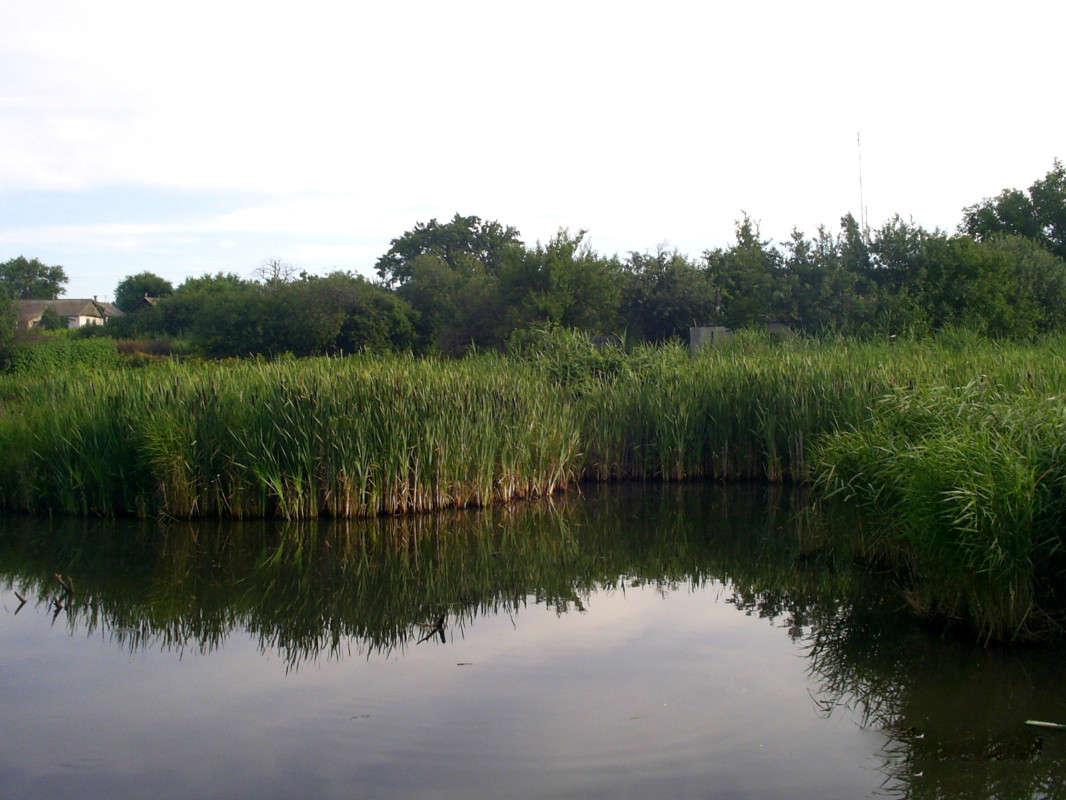 ������� ������� ����� �����  �� PhotoGeek.ru #������ ��� ������� #���������