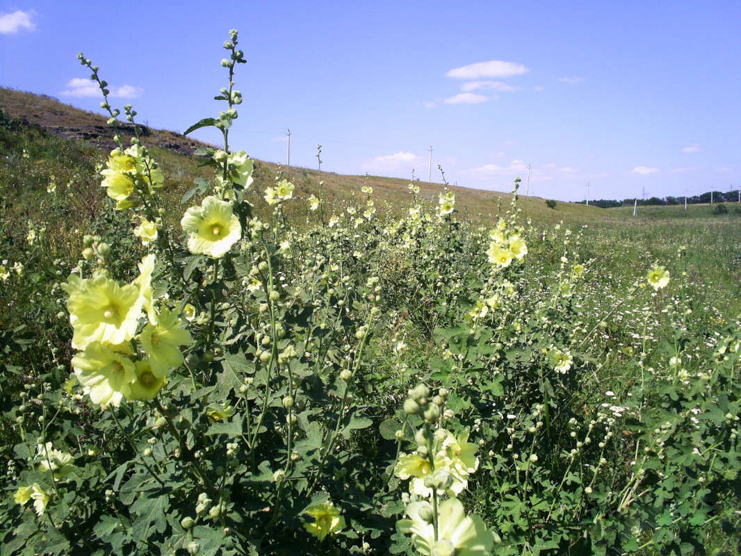 ������� ����� ����� �����  �� PhotoGeek.ru #������ ��� ������� #���������