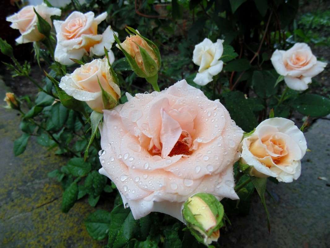 ... ����� �����  �� PhotoGeek.ru #������ ��� ������� #����� ��������������