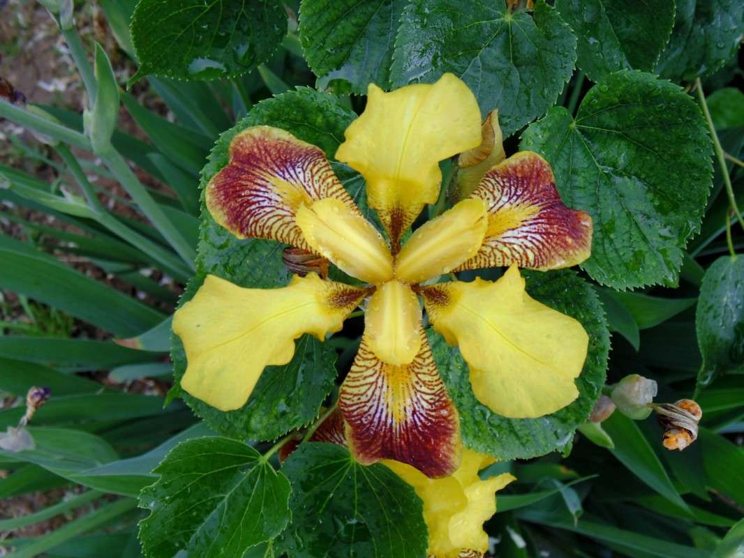 ... ����� �����  �� PhotoGeek.ru #������ ��� ������� #����� ��������������