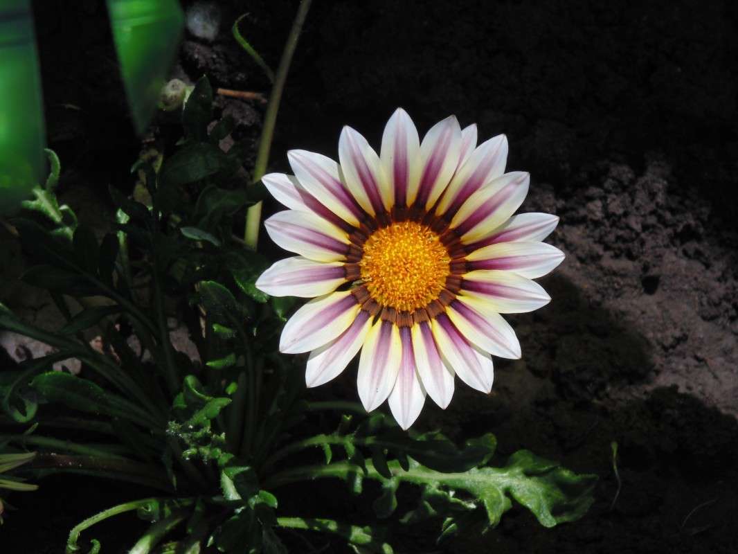 ... ����� �����  �� PhotoGeek.ru #������ ��� ������� #����� ��������������