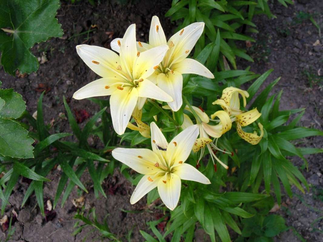 ... ����� �����  �� PhotoGeek.ru #������ ��� ������� #����� ��������������