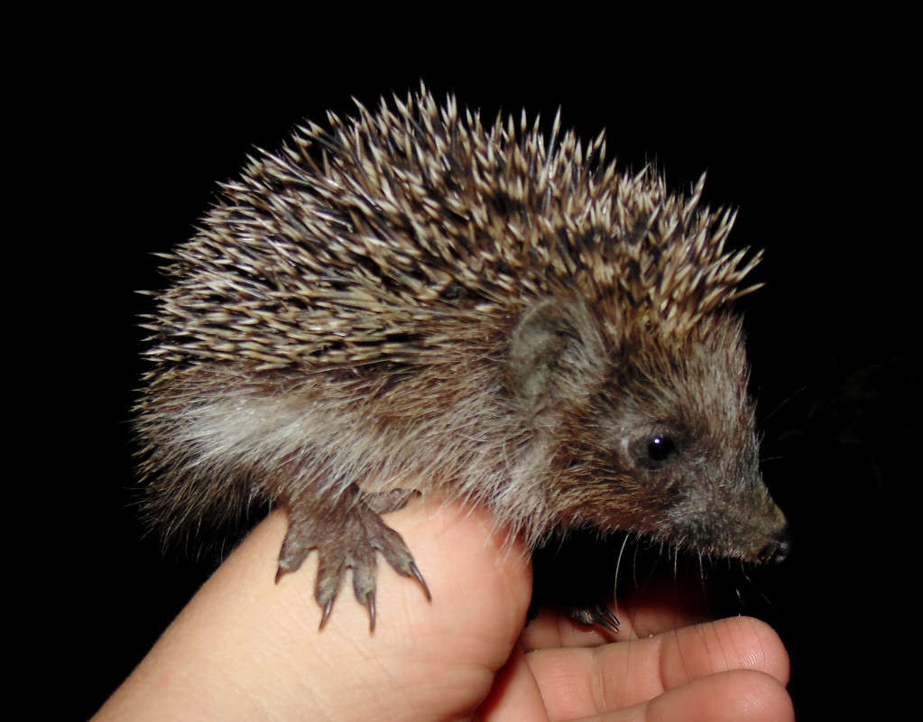 ��� ����! ����� �����  �� PhotoGeek.ru #�������� ��� #����� ��� ��� ���������