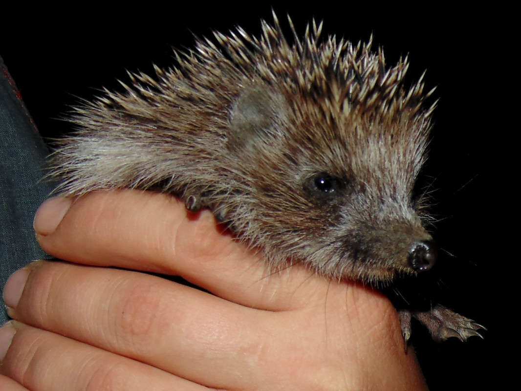 � ��� � �! ����� �����  �� PhotoGeek.ru #�������� ��� #����� ��� ��� ���������