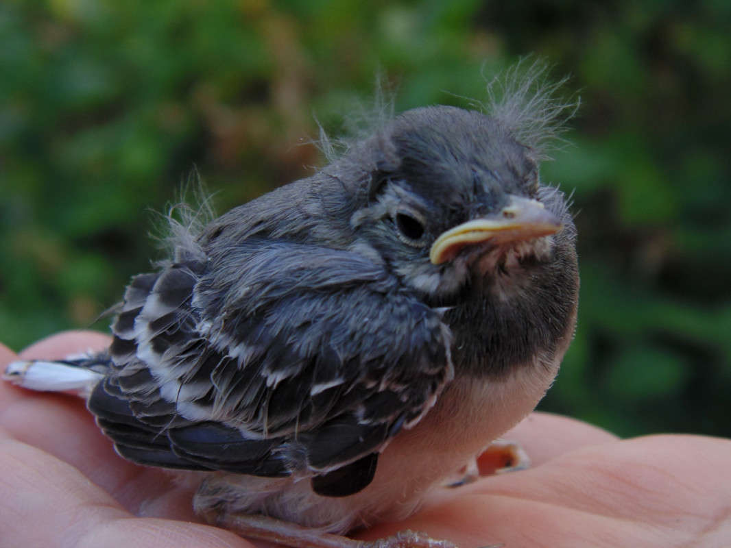 � �� �������?! ����� �����  �� PhotoGeek.ru #�������� ��� #����� ��� ��� ���������