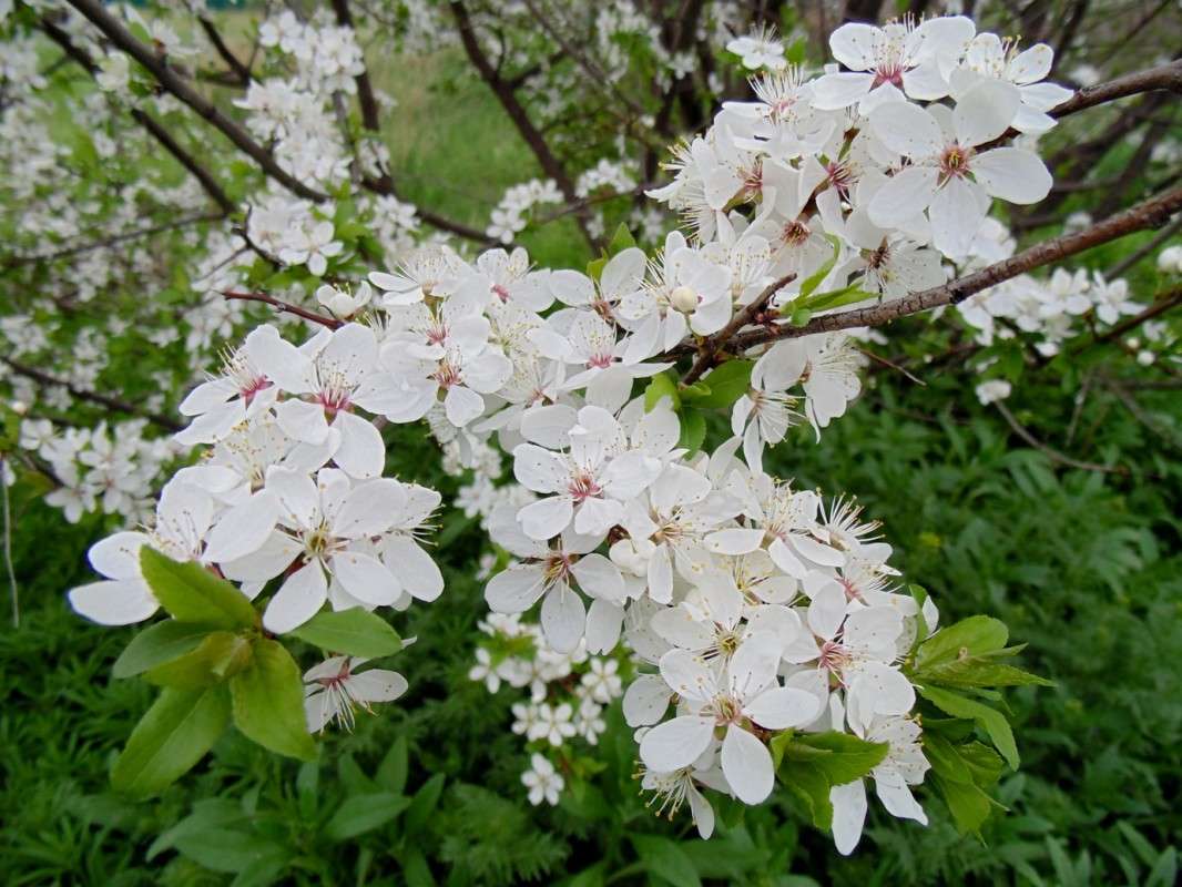 �������� ����. ����� �����  �� PhotoGeek.ru #����� #����� ��������������