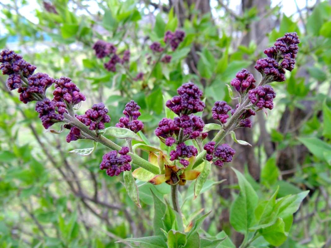 ������ ����� �����  �� PhotoGeek.ru #������ ��� ������� #����� ��������������