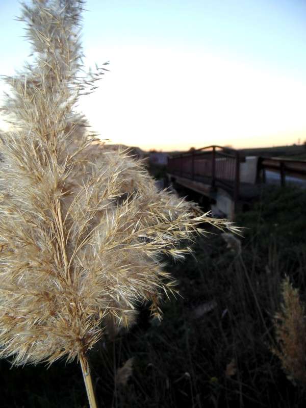 ����� ����� �����  �� PhotoGeek.ru #������ ��� ������� #����� ��������������