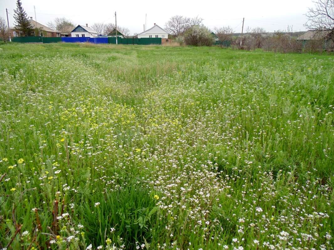 ���� � ����� ����� �����  �� PhotoGeek.ru #������ ��� ������� #���������