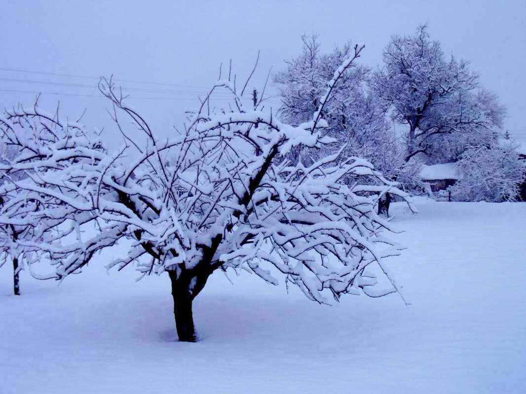 ... ����� �����  �� PhotoGeek.ru #������ ��� ������� #���������