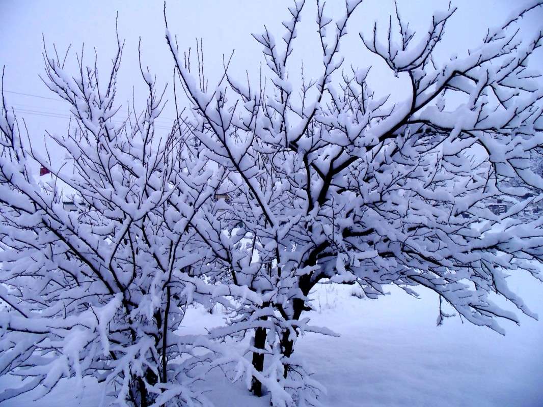 ... ����� �����  �� PhotoGeek.ru #������ ��� ������� #���������