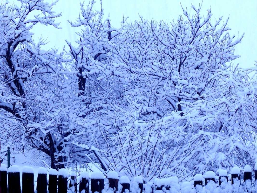 ... ����� �����  �� PhotoGeek.ru #������ ��� ������� #���������