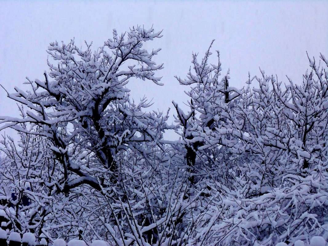 ... ����� �����  �� PhotoGeek.ru #������ ��� ������� #���������