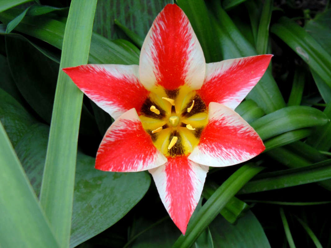 ��������. ����� �����  �� PhotoGeek.ru #������ ��� ������� #����� ��������������