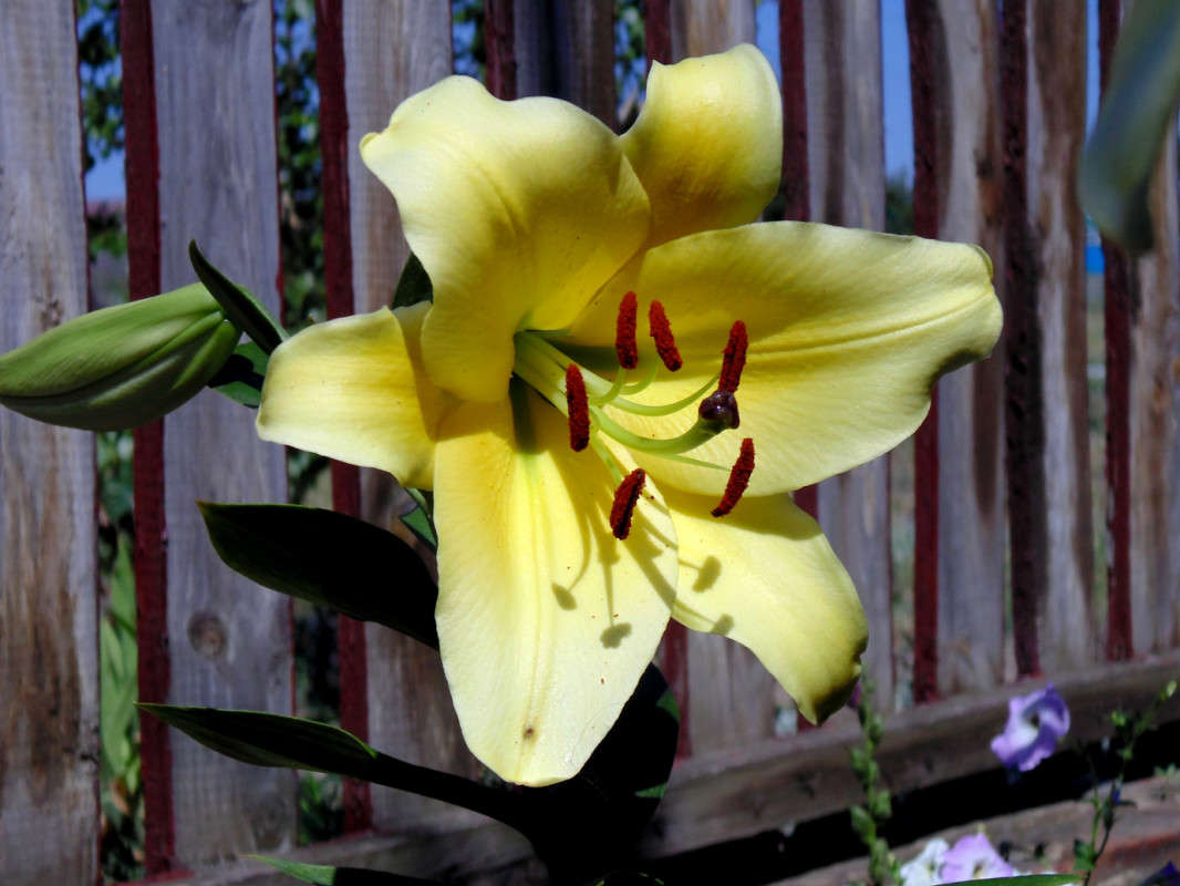 ... ����� �����  �� PhotoGeek.ru #������ ��� ������� #����� ��������������