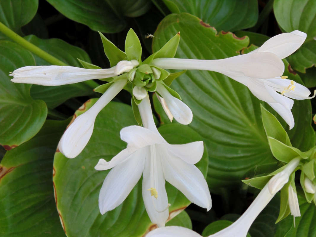 ... ����� �����  �� PhotoGeek.ru #������ ��� ������� #����� ��������������