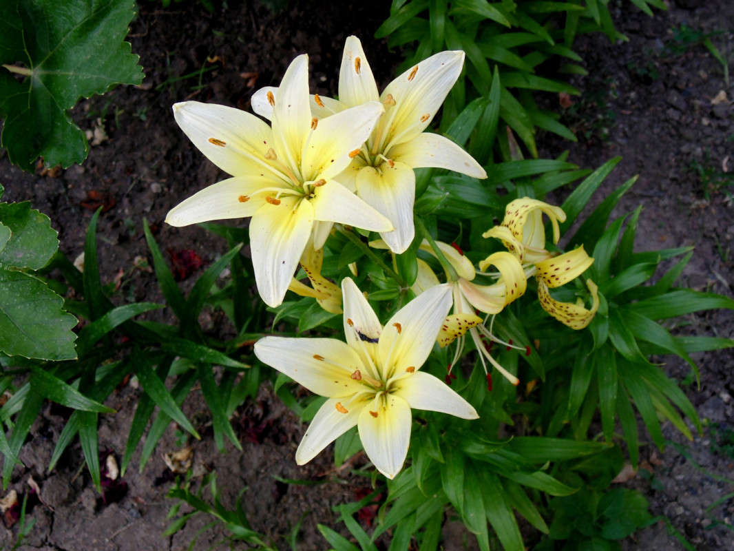 ��� ���������. ����� �����  �� PhotoGeek.ru #������ ��� ������� #����� ��������������