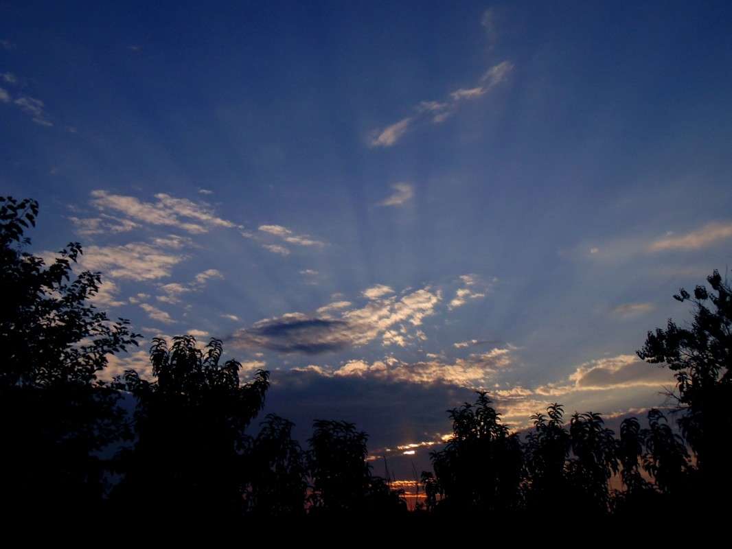 �� ��������. ����� �����  �� PhotoGeek.ru #������ ��� ������� #���������