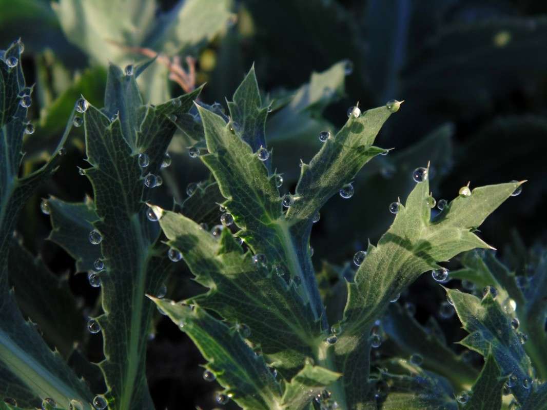 �������� ������. ����� �����  �� PhotoGeek.ru #����� #����� ��������������