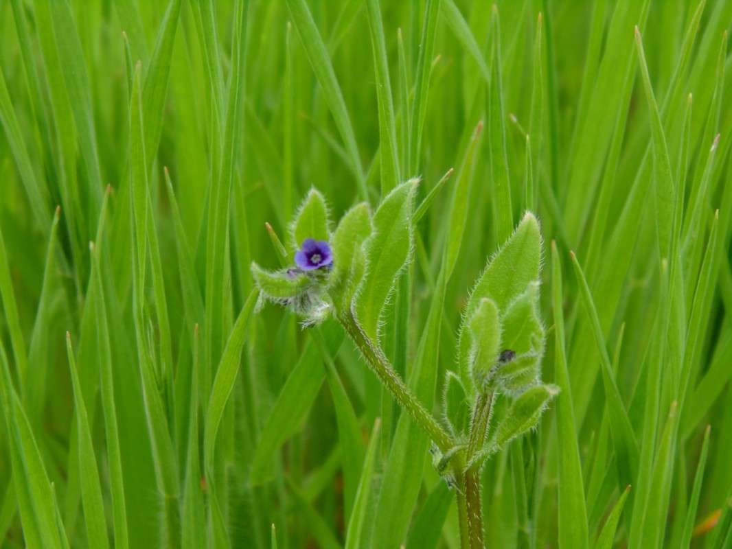 ��������... ����� �����  �� PhotoGeek.ru #����� #����� ��������������