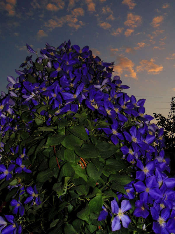 ��� ��������. ����� �����  �� PhotoGeek.ru #������ ��� ������� #���������