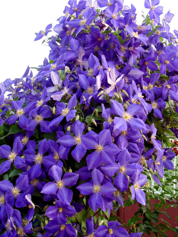 ��������. ����� �����  �� PhotoGeek.ru #������ ��� ������� #���������