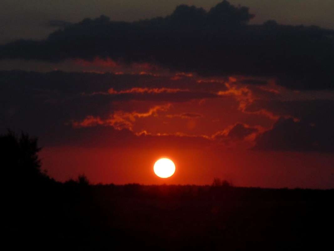 ��������� ���� (�� ����) ����� �����  �� PhotoGeek.ru #������ ��� ������� #���������