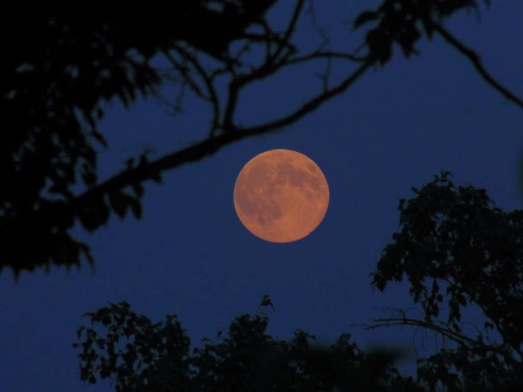 ����� ������. ����� �����  �� PhotoGeek.ru #������ ��� ������� #���������